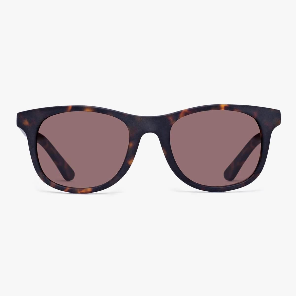 Malmö Dark Turtle sunglasses with brown lenses and tortoiseshell frame
